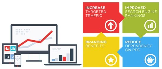 SEO For Doctor's Benifits SEO For Doctor's Benefits