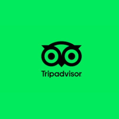 Tripadvisor logo with owl